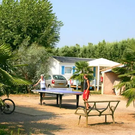 Mobil-home Avec Climatisation Et Animaux Admis - 4 Pers. - Api-1-52-2999 营地