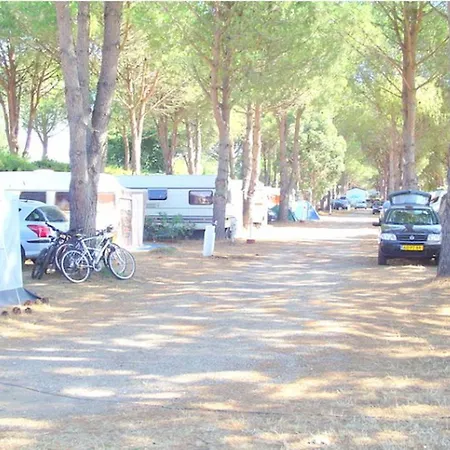 Mobil-home Avec Climatisation Et Animaux Admis - 4 Pers. - Api-1-52-2999 营地 *